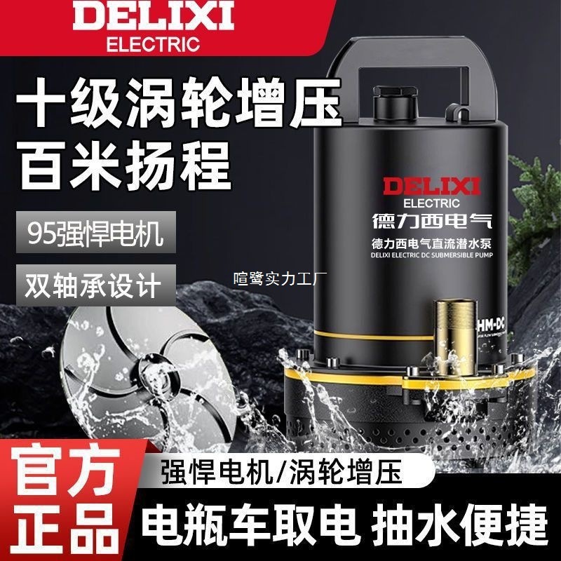 Delixi DC 水中ポンプ 12V24V48V60V バッテリー車のウォーターポンプ電動農業灌漑ポンプ|undefined