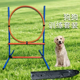 足球训练用具;瑜伽辅助用品;足球门/网