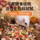 Weibi Duowei Hamster Food Staple Food, Various Seafood Food Feed, Balanced Nutritional Snacks, Golden Bear Supplies