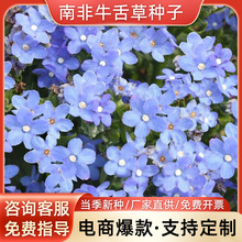 ϷţݷNӷݷNӾ^@ֹ̾GNR