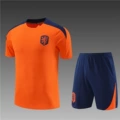 2425 dutch orange training set