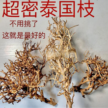 泰国枝造景泰国枝条沉木紫柚莫斯树杜鹃根鱼缸缸按斤细枝条免煮