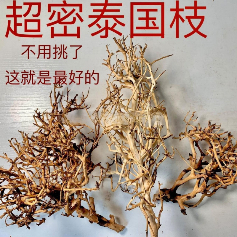 泰国枝造景泰国枝条沉木紫柚莫斯树杜鹃根鱼缸缸按斤细枝条免煮