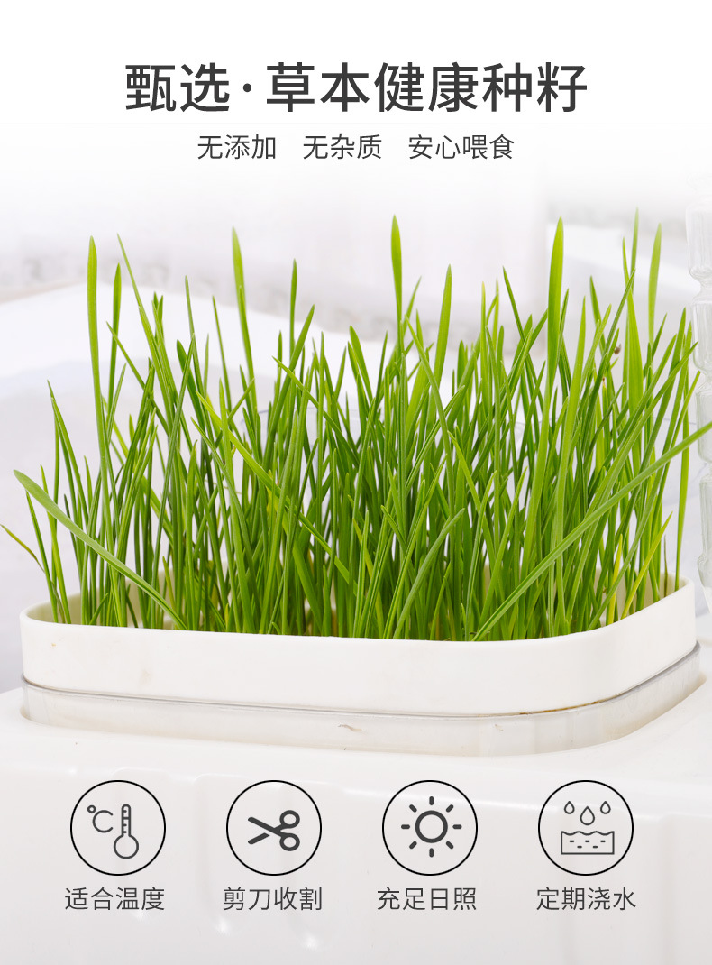 猫碗1_04.jpg