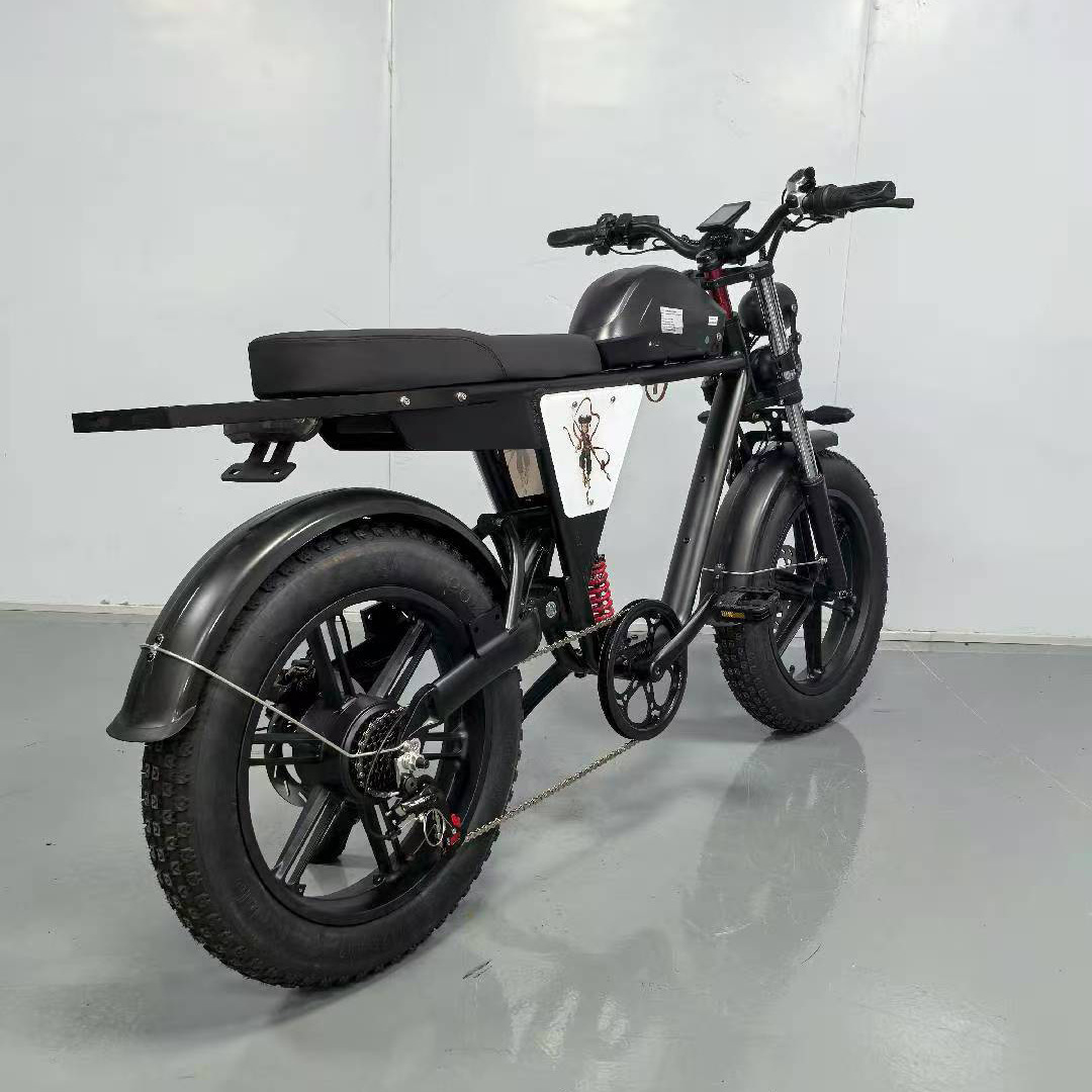 20inch Off-Road Variable Speed Electric Bicycle Adult Electric Vehicle Mountain Motorcycle Battery Vehicle Off-Road Electric Bicycle