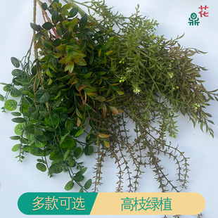 �G�������� ��֦���Gֲ ���\�� �羳���Q���l�ٻ� ��c��ꐽ���