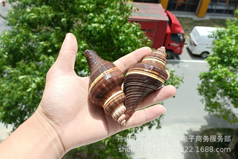 微信图片_20220630172640_副本1