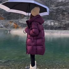 L衾١qﶬLBñɼӺqŮ