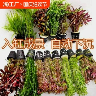 �~���쾰ֲ���b���ˮ�ݲ�ˮ���ײͺ��B�ͻ�ˮ�۳��׾Źڸ�Ƽ����