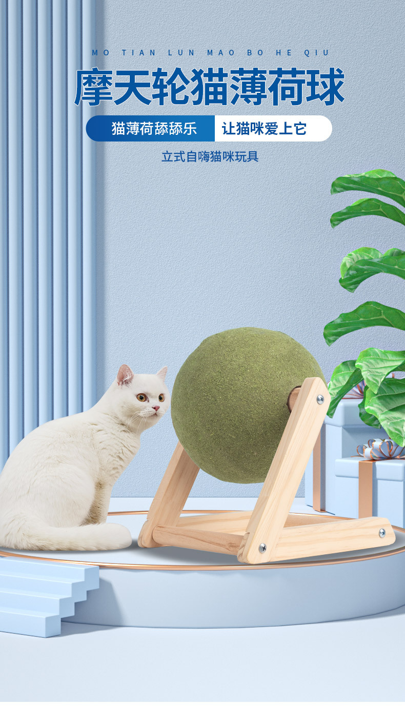 详情_01.jpg