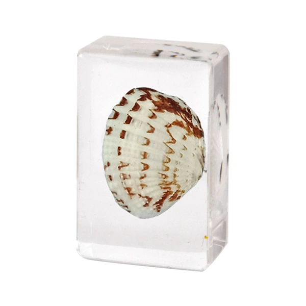 4.5CM small diagrid vertical curtain clam