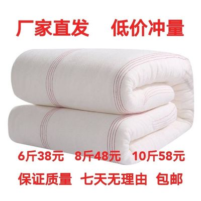 Cotton is Cotton Quilts core quilt Winter quilt spring and autumn thickening keep warm Single Double pad student dormitory