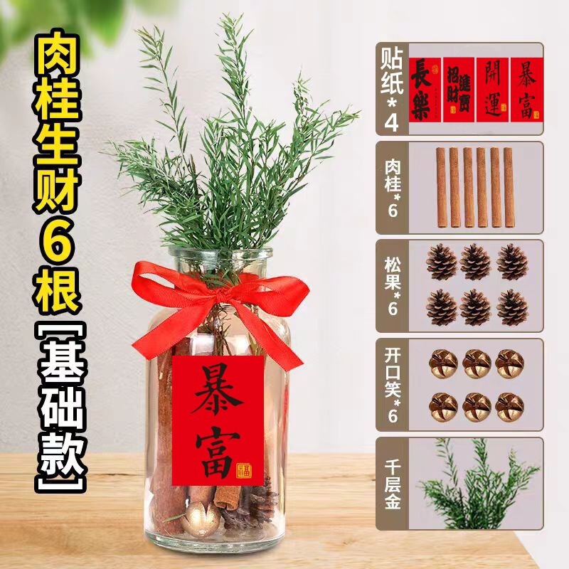 肉桂生财瓶摆件玻璃瓶花瓶diy材料客财厅位乔迁新居搬客厅|undefined