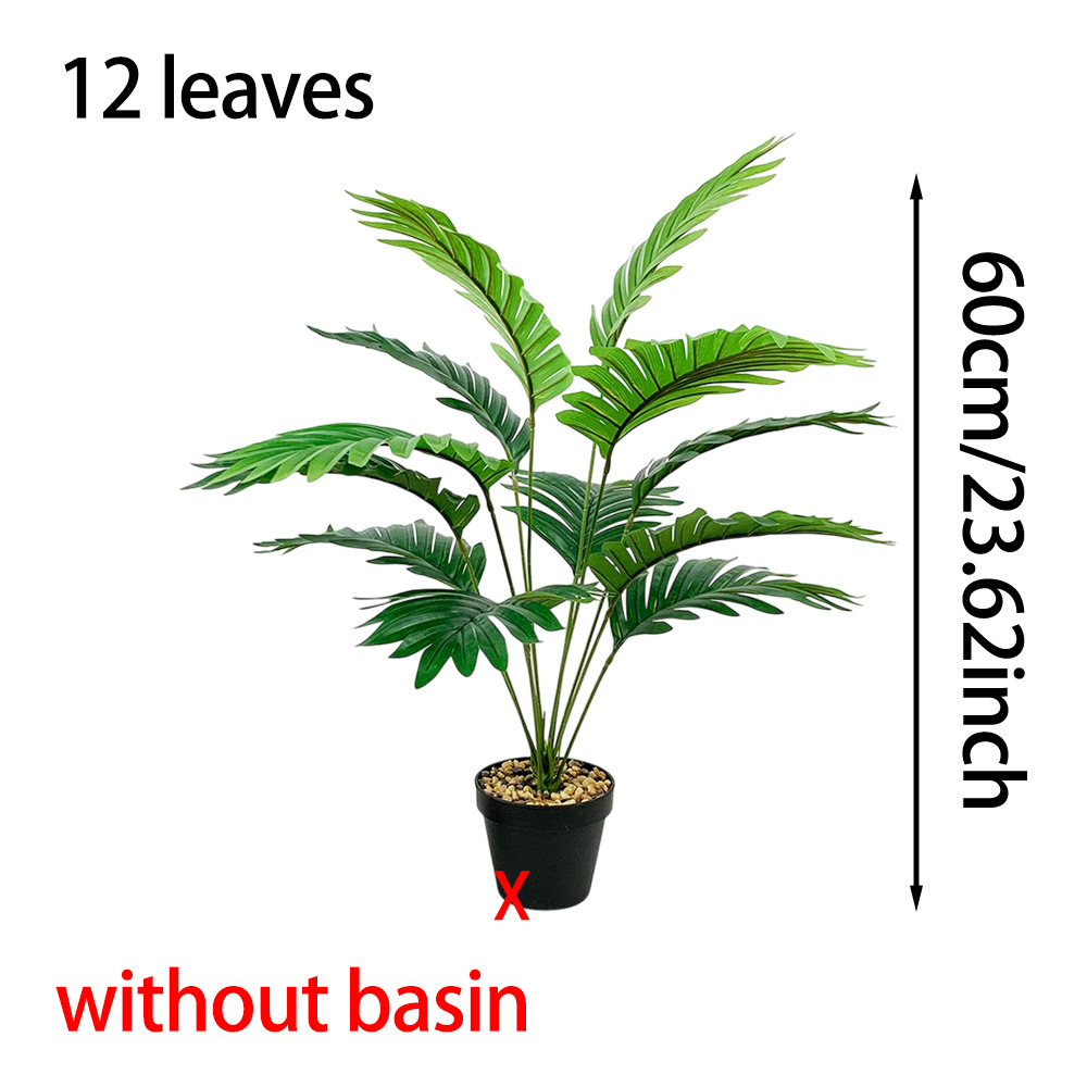 12 cabezas - girasol de cola dispersa