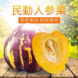 �����r��ժ������ɳĮ�˅����S������ЋD���rˮ���������������