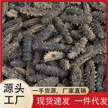 辽宁海参可代发水产干货礼盒50g样品大连淡干海刺参盒装辽参优选