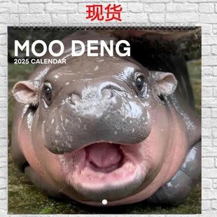 Cross-border Explosions 2025 Net Red Hippo Calendar Moo Deng Calendar Cute Net Red Hippo