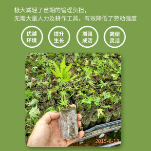 ���������߲˹Ϲ���ľ�N��Ǥ�岥�N�M�������Ի��ܿظ��Gֲֲ��