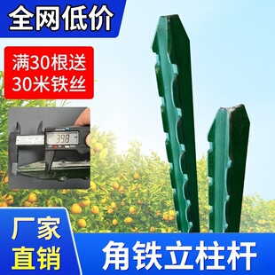 ���������U�����F�z�W�������������PY���T�F���^��֧�ΗU���ټ�
