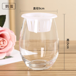 ˮ��ֲ�ﲣ��ƿ �G�}��ƿ���貣���A��ˮ�B�~�����������͙�