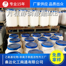 �S�����l�¹�������� �¹������� ʮ���������� MAE