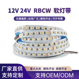 批发12V低压led线型灯rgb智能灯带24v60灯96灯五合一rgbcw灯条