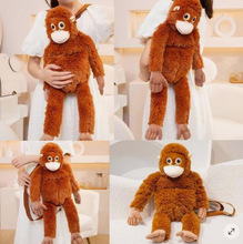 �羳�ɐ�С���ɹ��з���С���Ӳ����ޱ������Në�q����L�ۺ����l