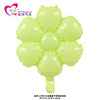 Brand children's balloon, white props suitable for photo sessions, new collection, Birthday gift, flowered