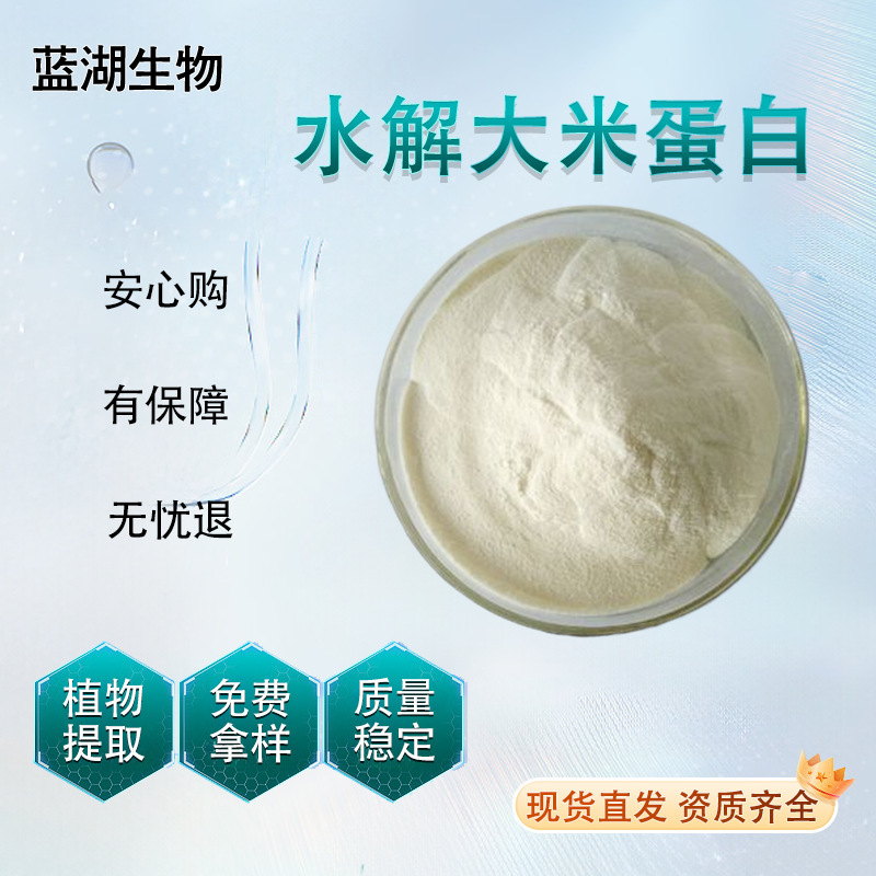 Hydrolyzed Rice Protein Rice Extract Food Grade Raw Material with Complete Qualification