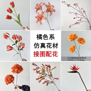 ��ɫϵ��c���滨���l����ɫ��ɫ��Y��ܛ�b��ɫ�ٻ������Y����