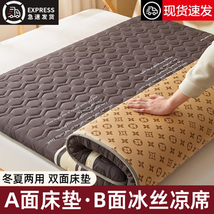 Double-Sided Mat Mattress, Winter and Summer Dual-Use Ice Silk Mat Cushion, Home Bedroom Mattress, Mattress Pad, Single Foldableable