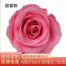 羳A5-6õ廨 ʥ˽Ʒĸɻ ͷ