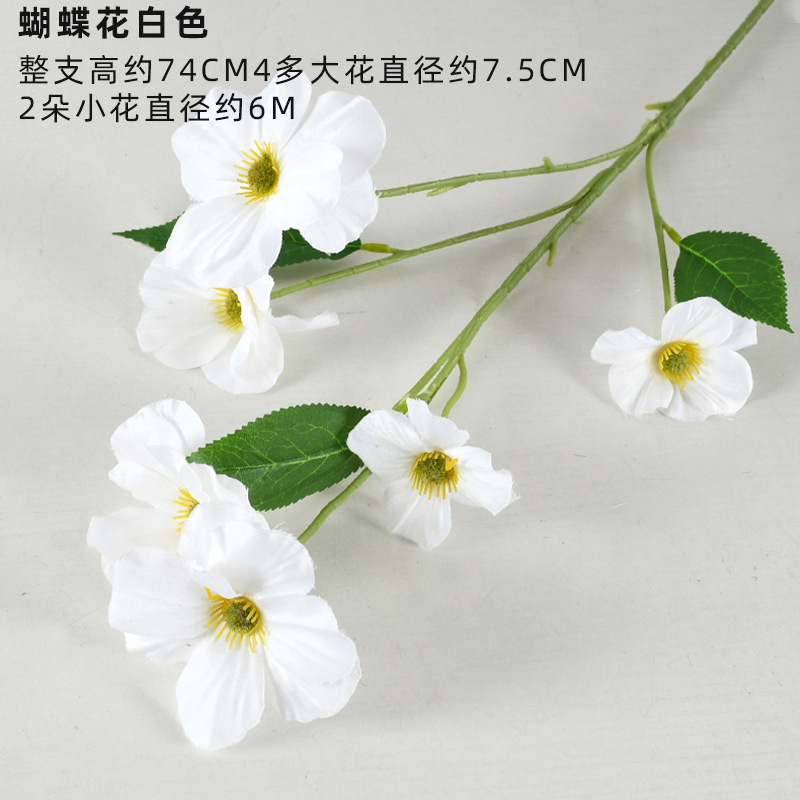 6 butterfly flowers white