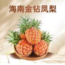 ���ڳ����Ͻ������5��Ӧ��������ˮ����ˮ������˺���������