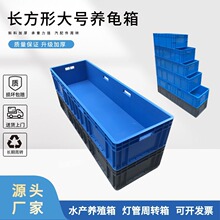 ��������ֳ�������ϴ��������ƹ������������EU��������ת��