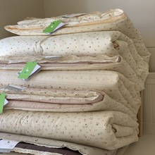 韩国大鹅家双面全棉可水洗花边款春秋被双人保暖被芯四季可用被子