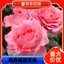 һ�����lɺ������õ���¼������ľֲ��ͥԺ�̨�����ļ��_���ͺ�