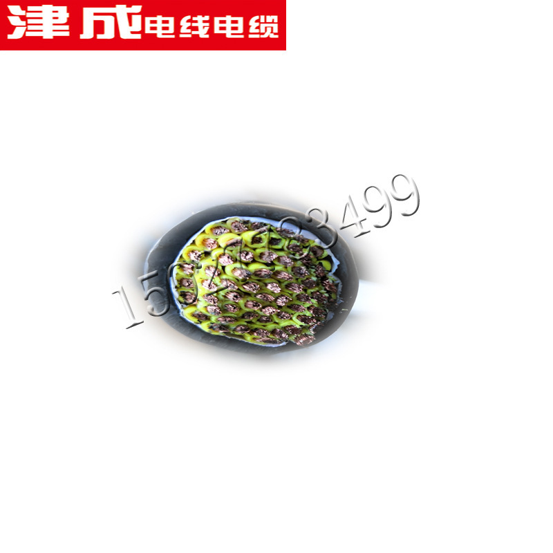天津津成信号控制无氧铜软电缆弱电电缆0.6/1KV-RVVZ-4X185+1X95