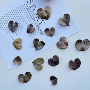 �����~��Ȼ����~�A�ΰ����~���������b��ﻨ�˱����h�~���Ĕz