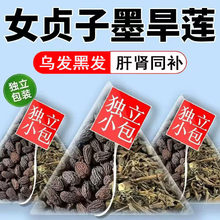 女贞子墨旱莲组合正中药中药材枸杞子女贞子肉苁蓉和旱莲草桑葚