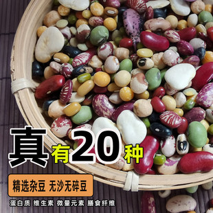 ���x20�N���M�ϠI�B�s������s�Z�����ּZ��ʳ������ܿ���Ƀ����