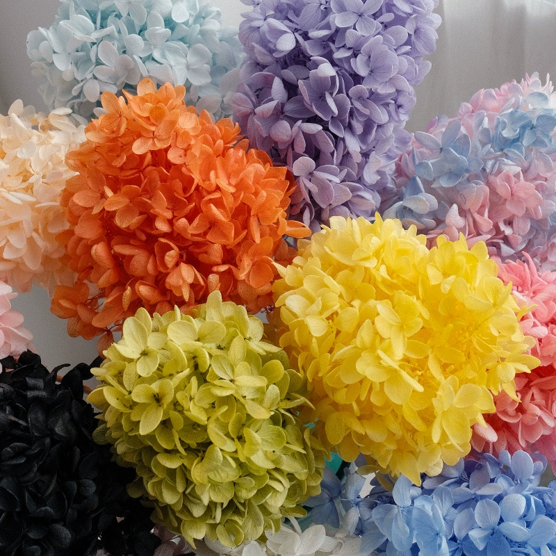 Wholesale hydrangea preserved flower hydrangea wooden hydrangea dried flower bouquet handmade DIY materials wedding decoration