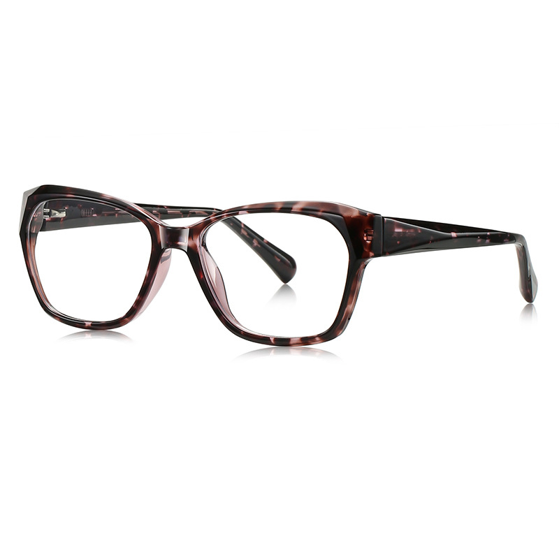 C3 tortoiseshell frame