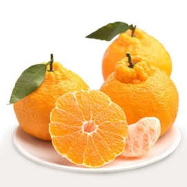 四川不知火丑橘现货产地直发新鲜水果桔子不知火丑橘一件代发