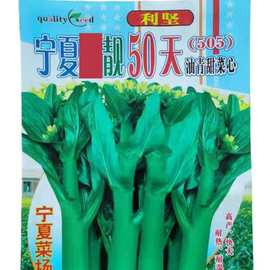 蔬菜种子批发400克 宁夏菜场可用利坚50天油青甜菜心种子505