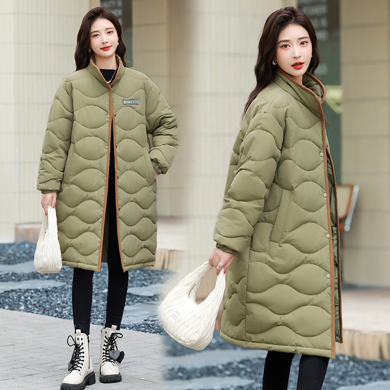 콩 녹색