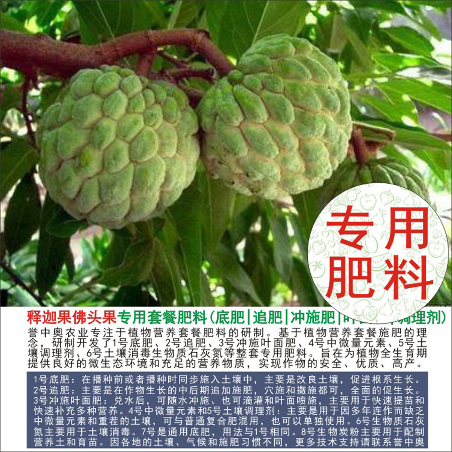 50�����а����ȹ���ͷ��ר���л��ʸ��Ϸʵ׷�׷��Ҷ��ʳ�ʩ��