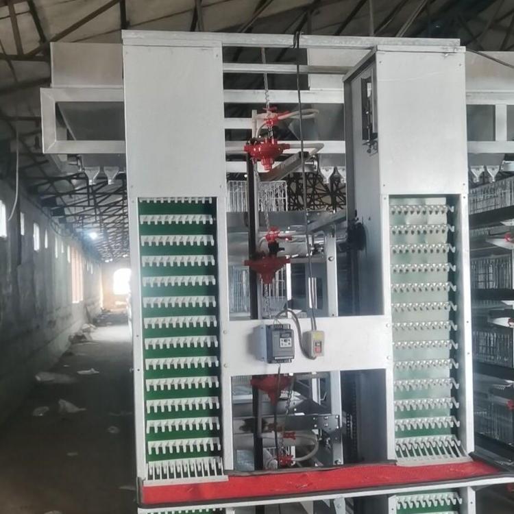 El dispositivo de recogida de huevos de la máquina automática de recogida de huevos tiene una pequeña ocupación de tierra y un alto grado de intensificación de la tierra.