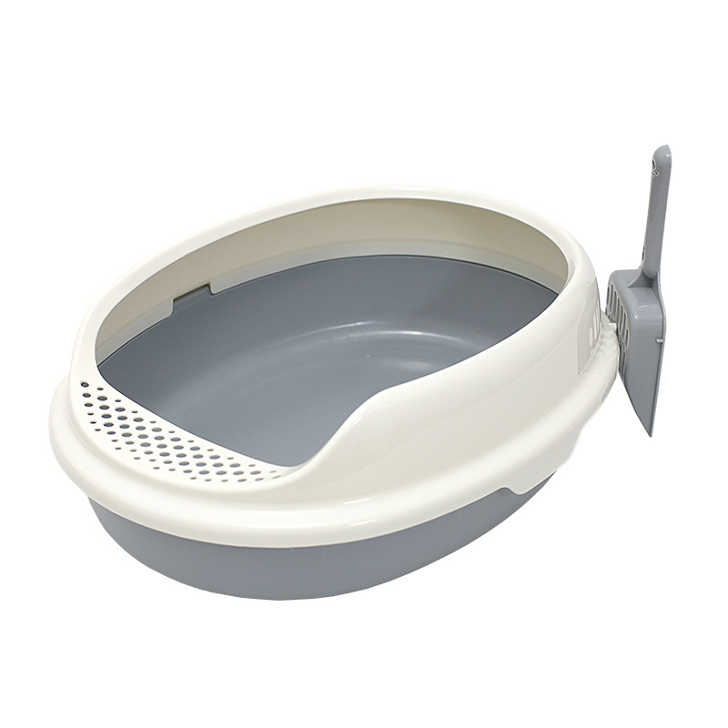 아시안 실버 그레이