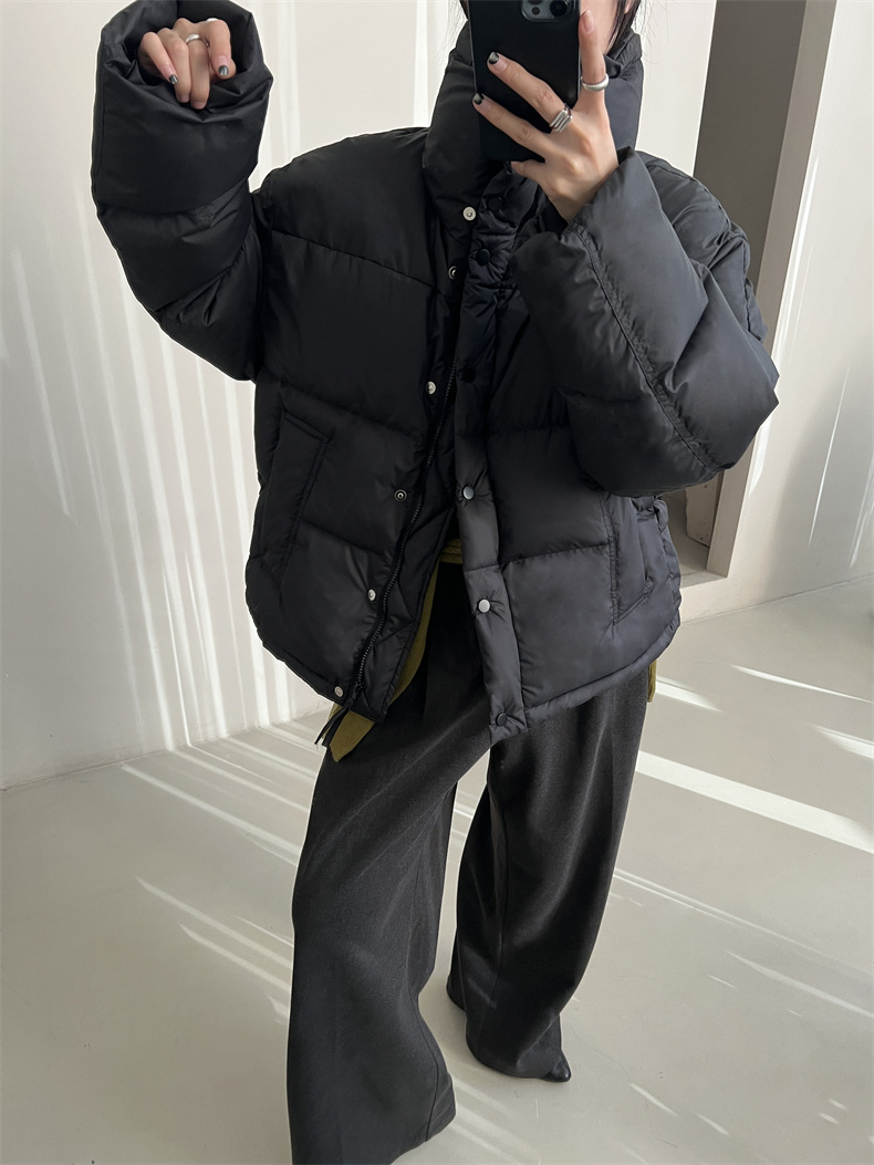 2024-11-26 145242.jpg